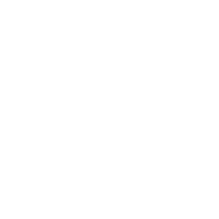 Icon 2-01-1